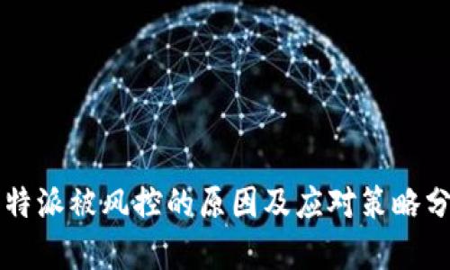 比特派被风控的原因及应对策略分析