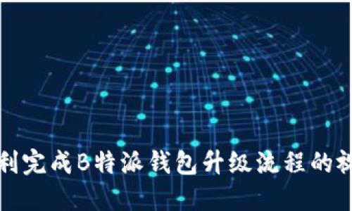 如何顺利完成B特派钱包升级流程的视频指南