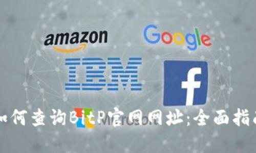 如何查询BitP官网网址:全面指南