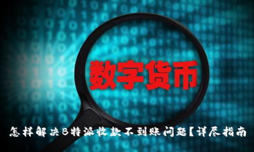 怎样解决B特派收款不到账问题?详尽指南