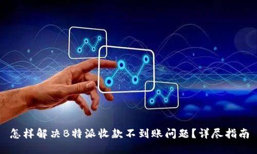 怎样解决B特派收款不到账问题?详尽指南