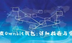 如何安全下载Ownbit钱包：