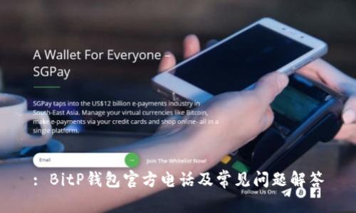 : BitP钱包官方电话及常见问题解答