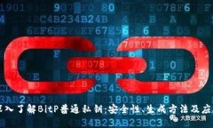 深入了解BitP普通私钥：安