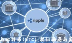 区块链与比特币(BTC)：揭秘