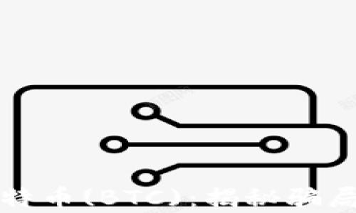 区块链与比特币(BTC):揭秘骗局与真实价值
