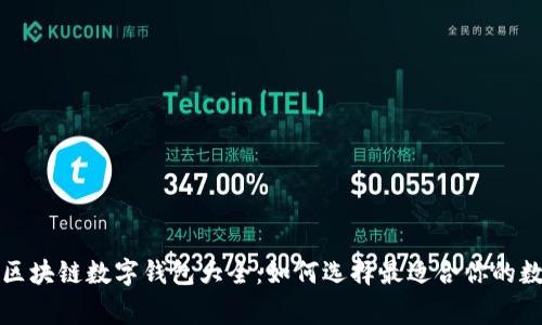 常用的区块链数字钱包大全：如何选择最适合你的数字钱包