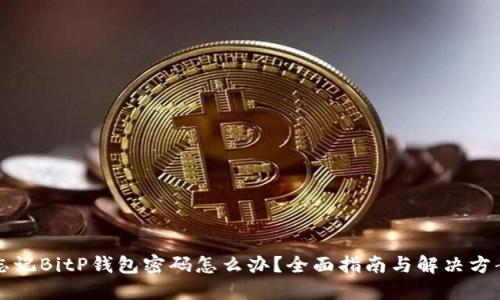 忘记BitP钱包密码怎么办？全面指南与解决方案