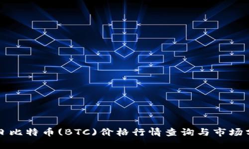 今日比特币(BTC)价格行情查询与市场分析