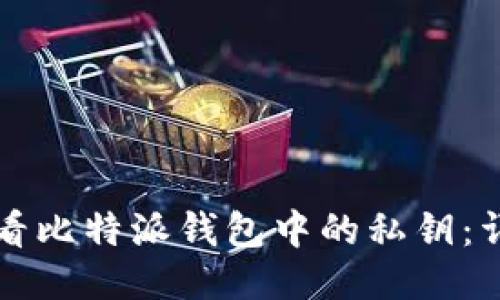 如何查看比特派钱包中的私钥：详细指南