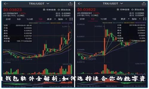 区块链钱包软件全解析:如何选择适合你的数字资产钱包