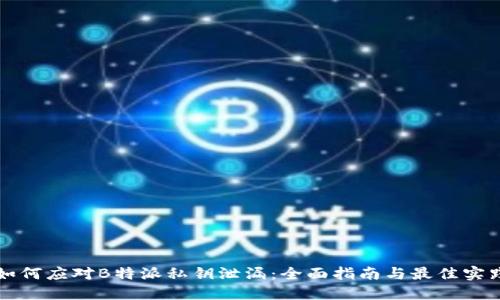 如何应对B特派私钥泄漏:全面指南与最佳实践