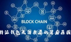 深入解析B特派钱包无法截
