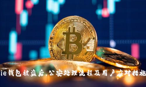 Bitpie钱包被盗后，公安处理流程及用户应对措施详解