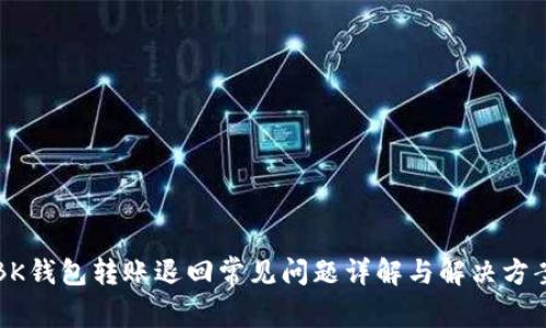 BK钱包转账退回常见问题详解与解决方案
