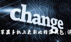 如何在苹果手机上更新比