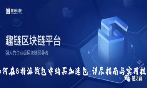 如何在B特派钱包中购买加速包:详尽指南与实用技巧