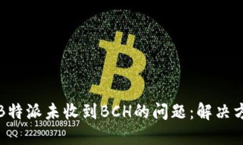 如何处理B特派未收到BCH的问题:解决方案与指南