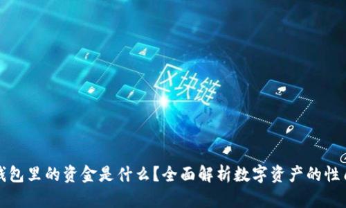 区块链钱包里的资金是什么？全面解析数字资产的性质与价值