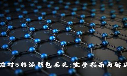 如何应对B特派钱包丢失:完整指南与解决方案