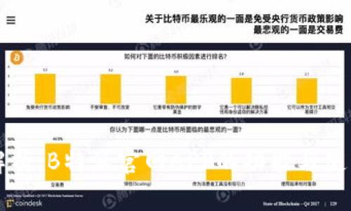 全面解析:B特派官网APP的功能与使用指南