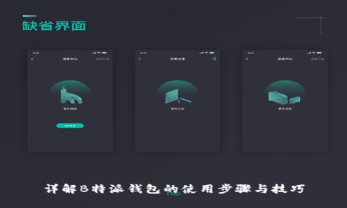 详解B特派钱包的使用步骤与技巧