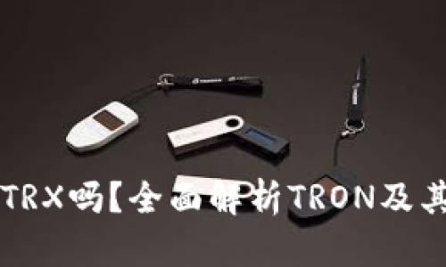 比特派钱包支持TRX吗？全面解析TRON及其在比特派的应用