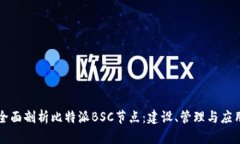 全面剖析比特派BSC节点：