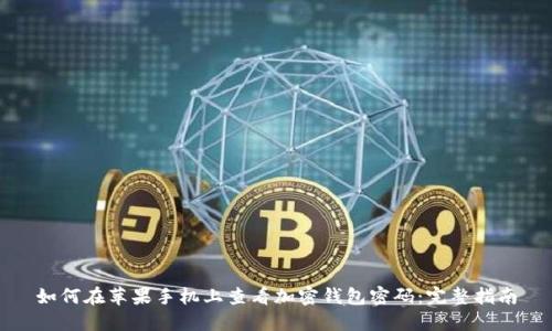 如何在苹果手机上查看加密钱包密码：完整指南