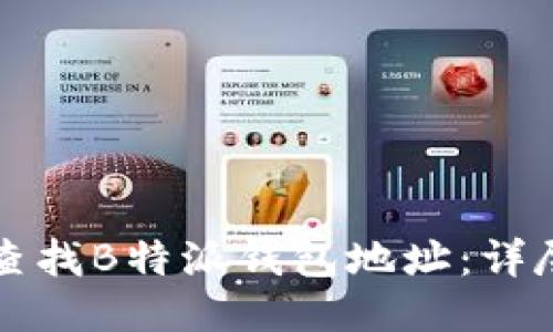 如何查找B特派钱包地址：详尽指南