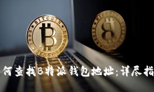 如何查找B特派钱包地址：详尽指南