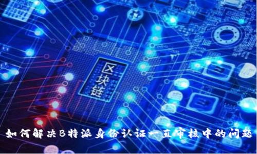 如何解决B特派身份认证一直审核中的问题