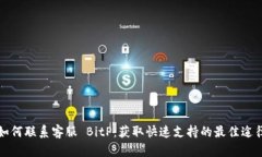 如何联系客服 BitP：获取快