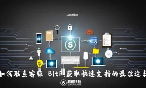 如何联系客服 BitP:获取快速支持的最佳途径