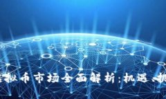 2023年国内虚拟币市场全面