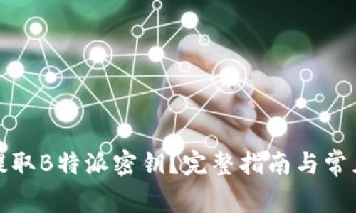 如何高效提取B特派密钥?完整指南与常见问题解答