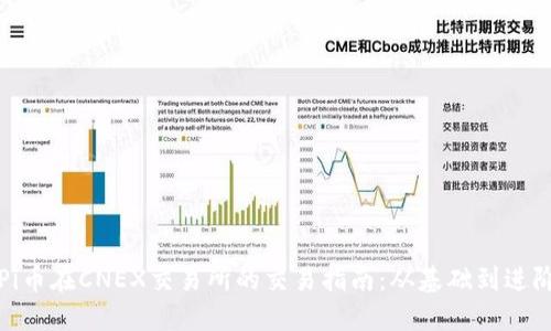 Pi币在CNEX交易所的交易指南:从基础到进阶