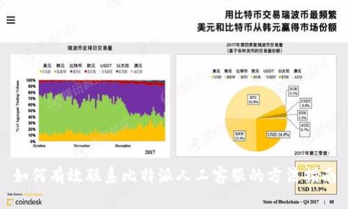 如何有效联系比特派人工客服的方法指南