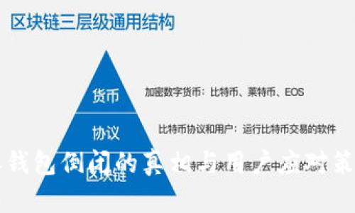 比特派钱包倒闭的真相与用户应对策略分析