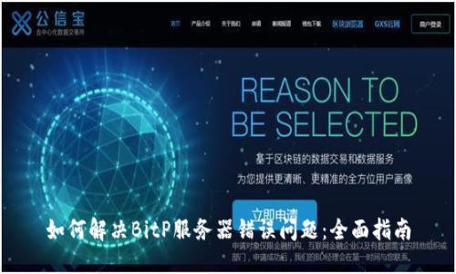 如何解决BitP服务器错误问题：全面指南