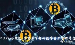 BitKeep钱包：你需要了解的