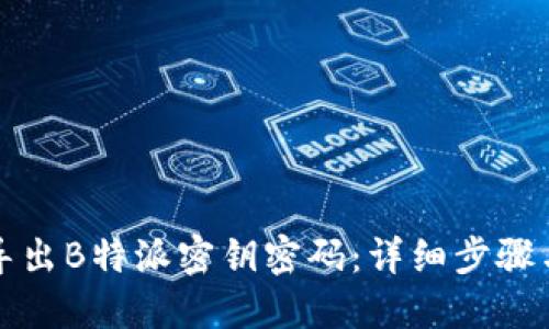 如何导出B特派密钥密码：详细步骤与技巧