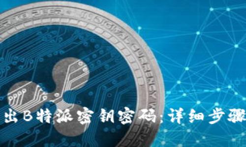 如何导出B特派密钥密码：详细步骤与技巧