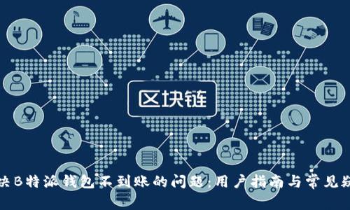 如何解决B特派钱包不到账的问题：用户指南与常见疑问解答