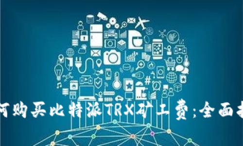 如何购买比特派TRX矿工费：全面指南