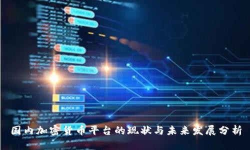 国内加密货币平台的现状与未来发展分析