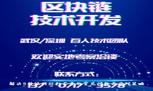 解决B特派网站打不开的常见问题与应对策略