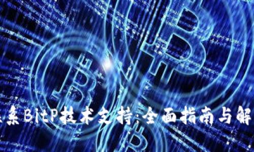 如何联系BitP技术支持:全面指南与解决方案