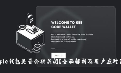 Bitpie钱包是否会被关闭？全面解析及用户应对策略