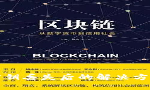 区块链钱包密钥丢失后的解决方案与预防措施